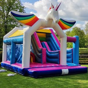 CHATO COMBO LICORNE